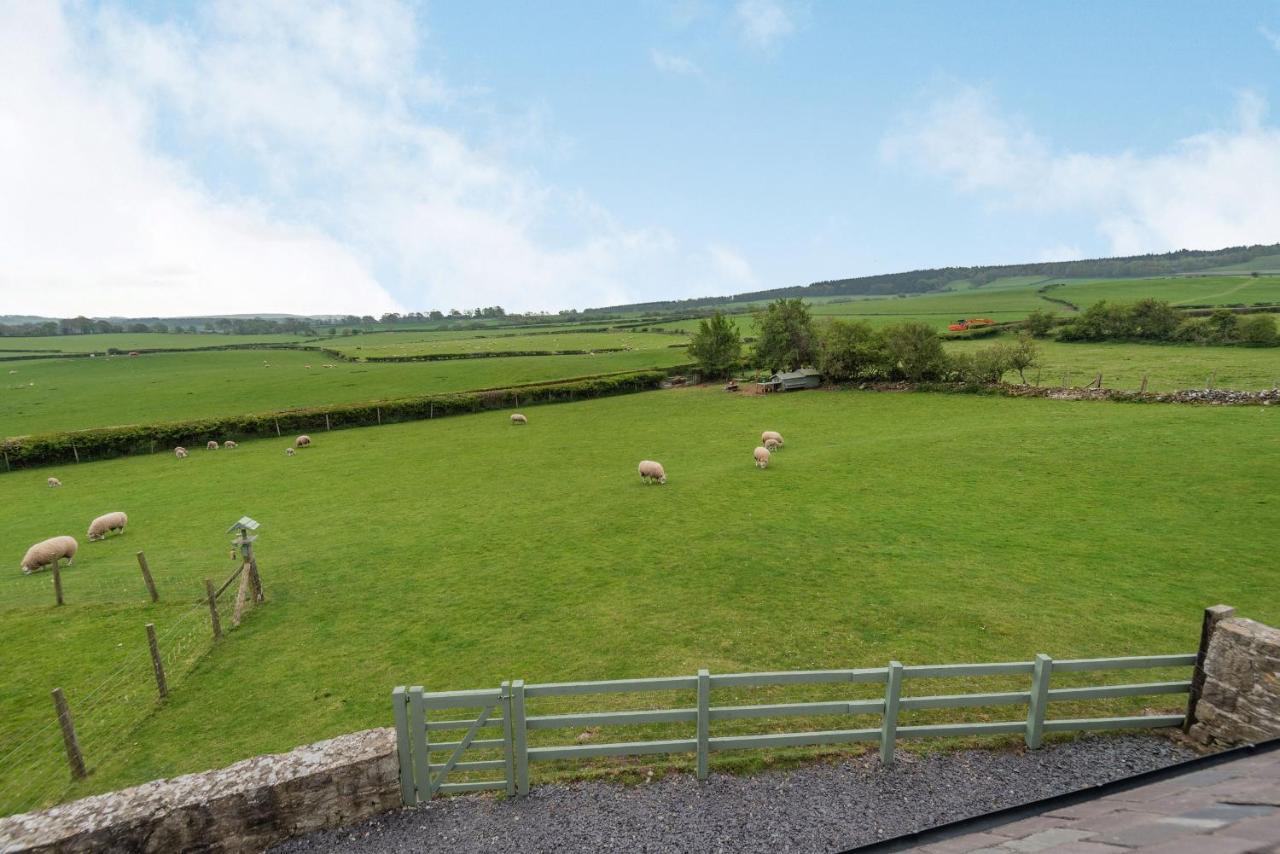 Hafan Haydn Vila Cwm  Exterior foto