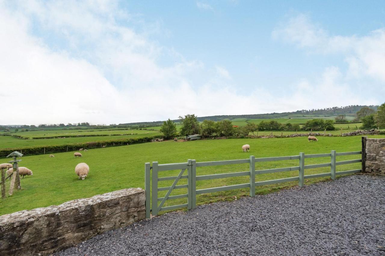 Hafan Haydn Vila Cwm  Exterior foto
